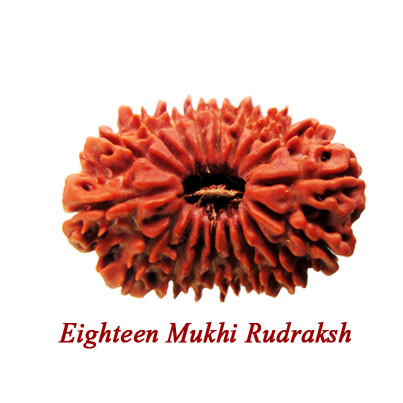 eighteen mukhi rudraksha